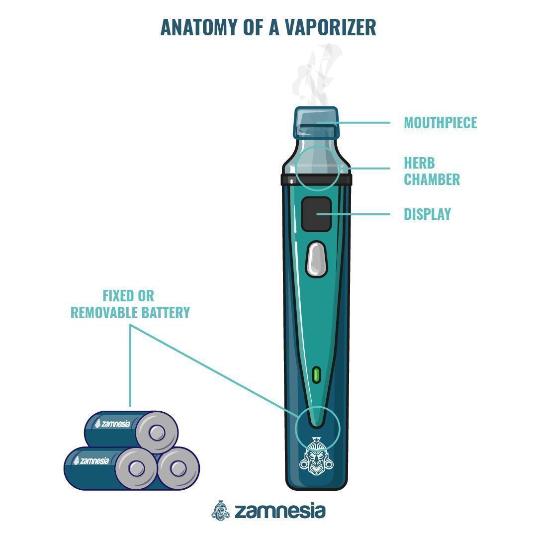 How To Use A Dry Herb Vaporizer Zamnesia